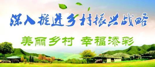 玉门市深入推进脱贫攻坚与乡村振兴有效衔接