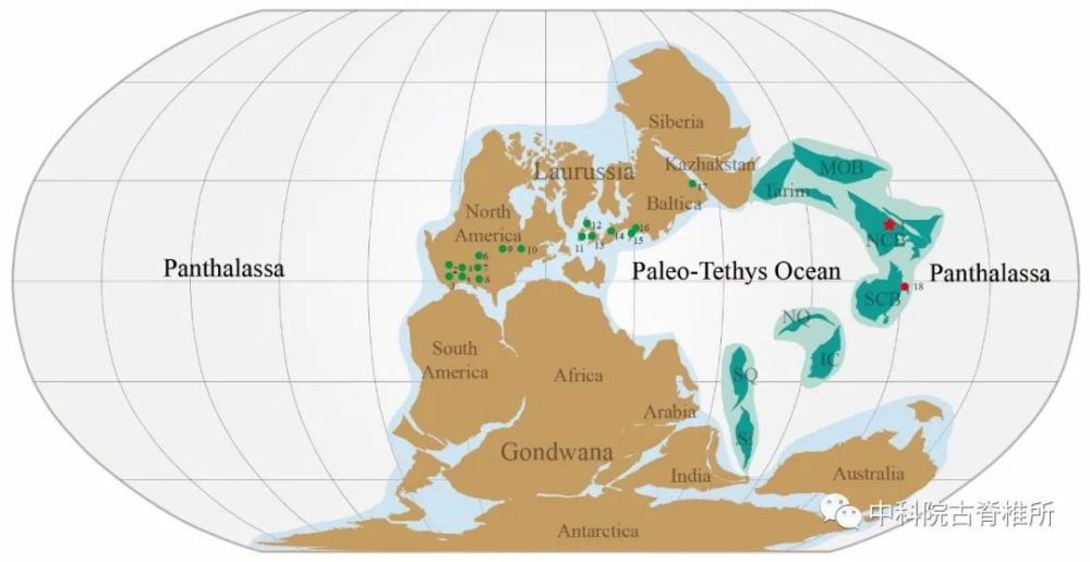 分布图(林翔鸿提供)文章的第一作者和通讯作者均为中国科学院古脊椎