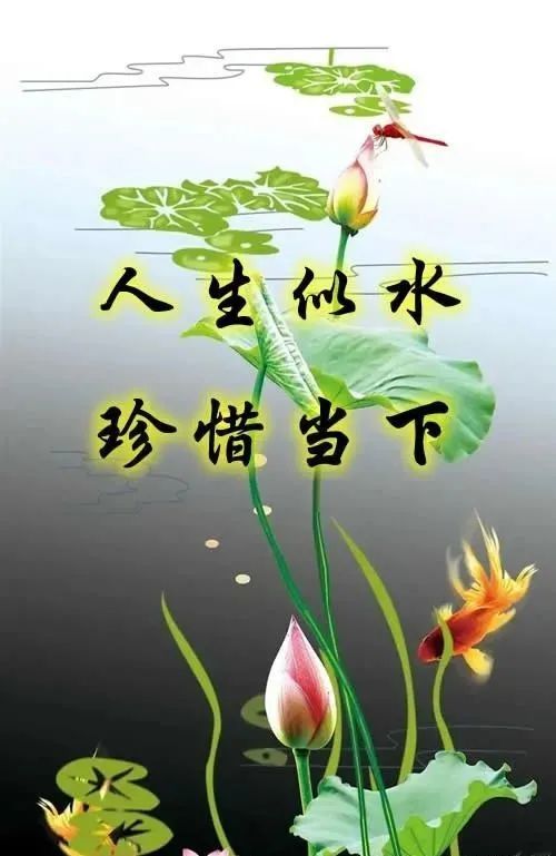 人生似水,珍惜当下