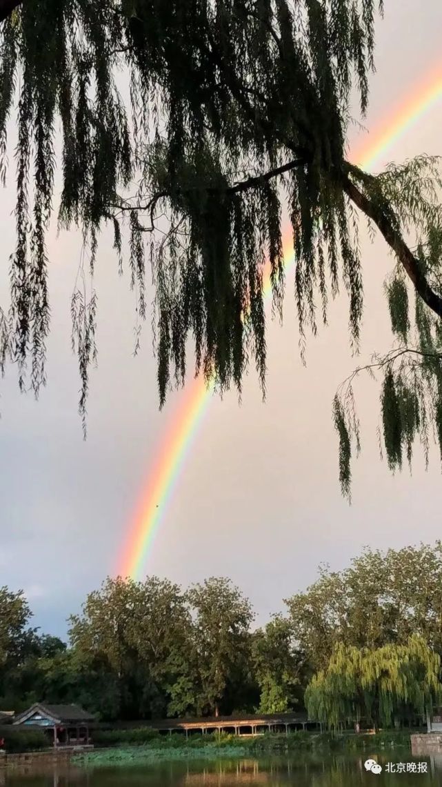 繪成一幅傍晚美景雙彩虹伴柳在頤和園雙彩虹高掛天空從西北二環向東