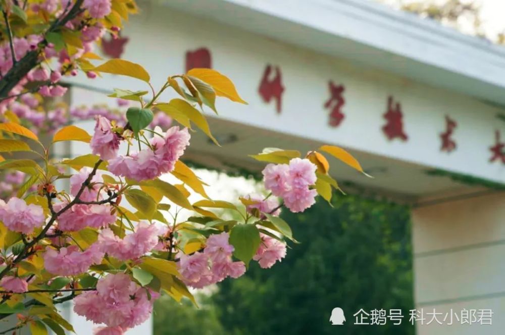 中科大高新校区启用因校门低调简朴引热议