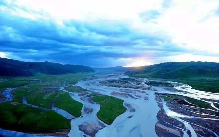 三江源地区野生动物越来越多,这到底意味着什么?