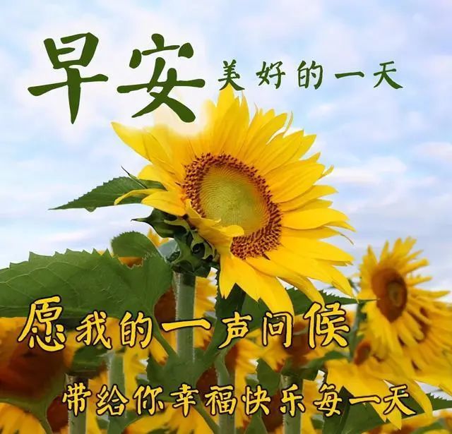 清晨漂亮早安祝福語圖片帶字早上好問候語動態圖片表情