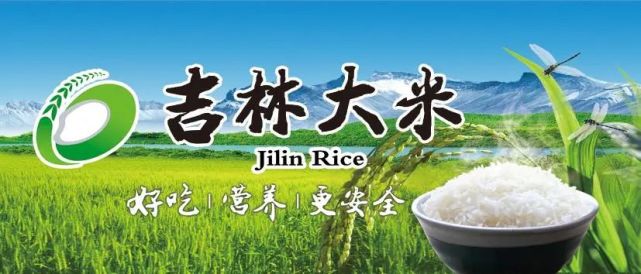 东北大米的白金名片吉林大米的品牌建设成功学