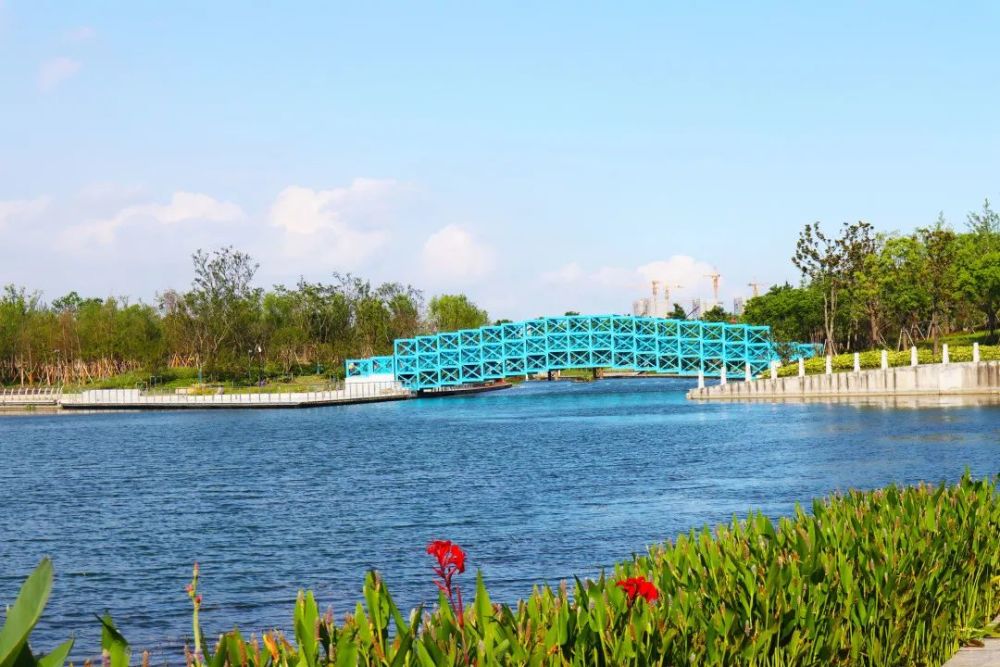 【去處】上海之魚龍潭公園開放了,千米水岸線等你來兜_騰訊新聞