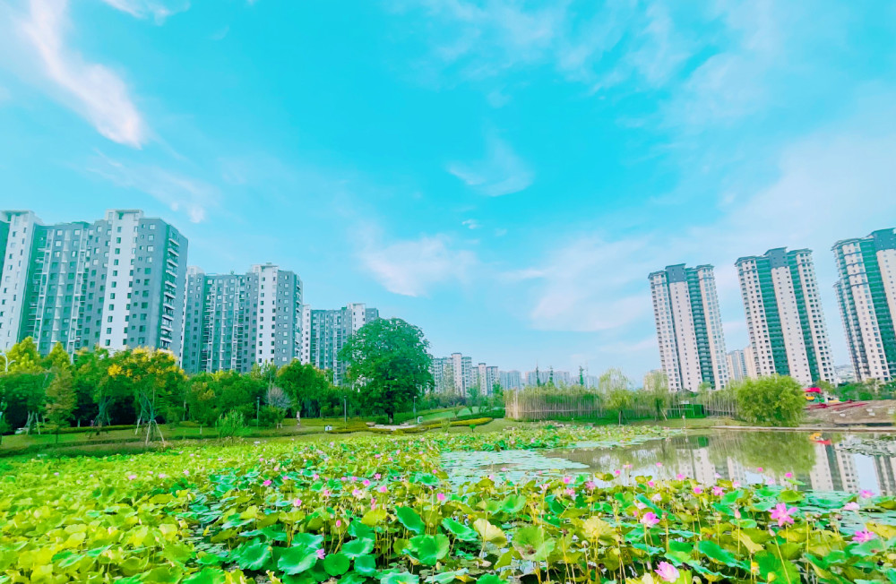 丽水市gdp_2021年丽水市各区GDP排行(2)