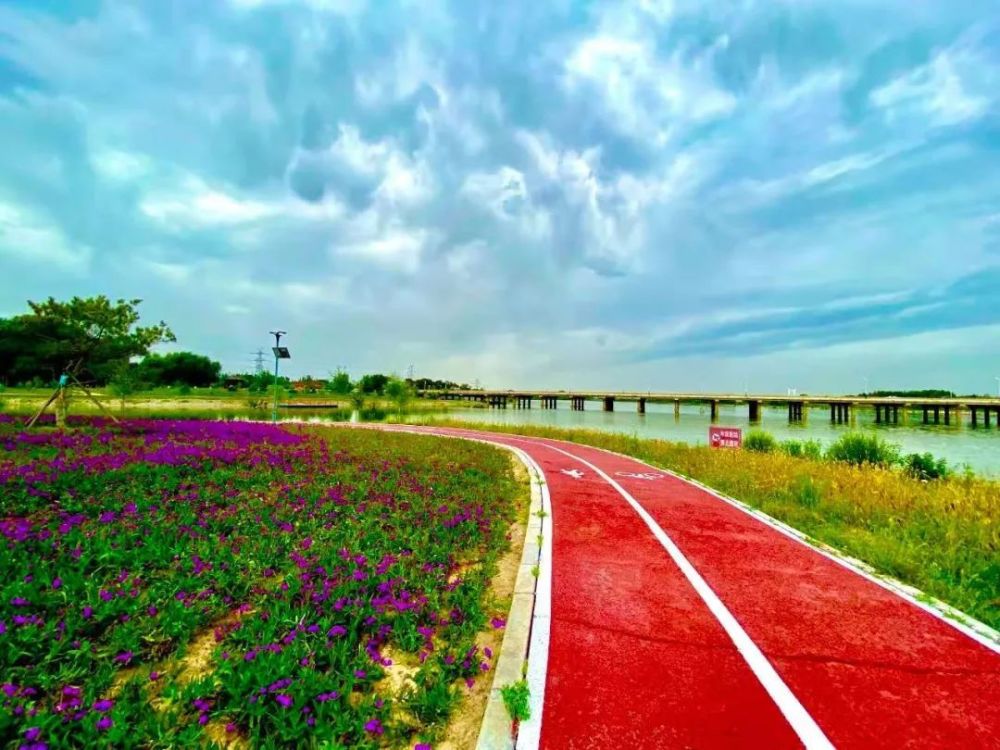 如画青城道处是景