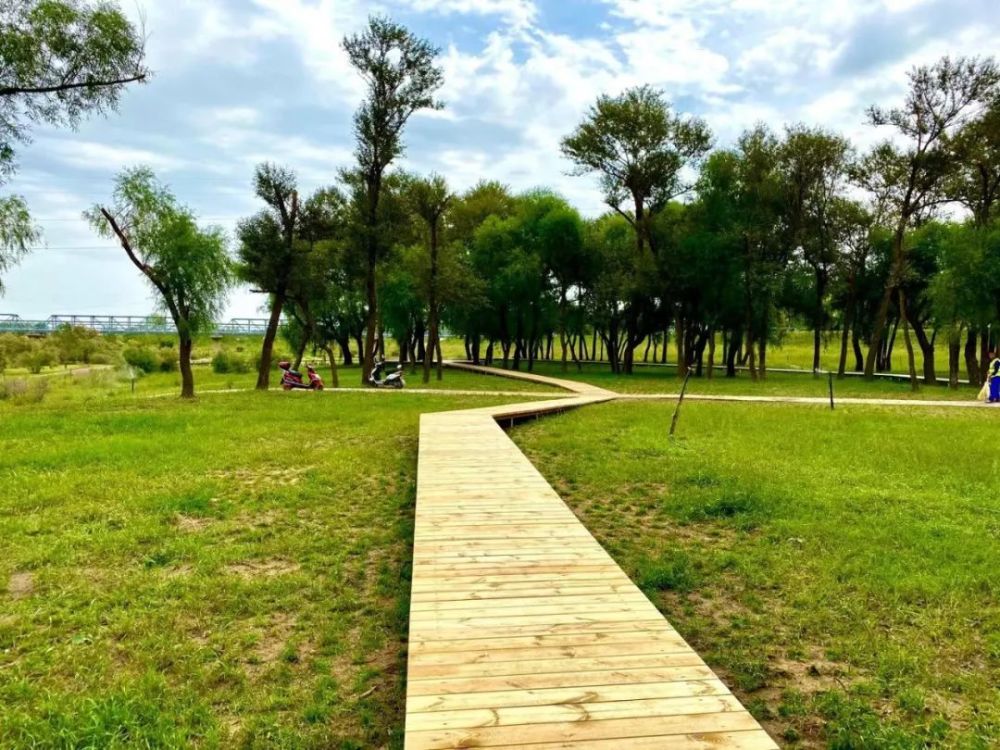 如画青城道处是景