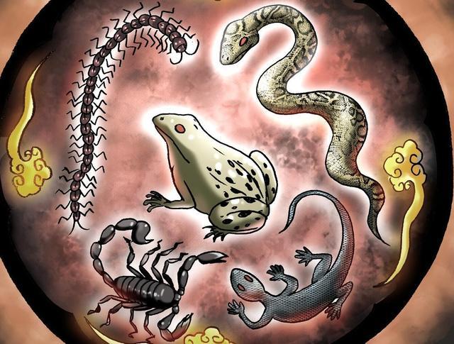 古人要将其列为"五毒"之一,说出来别不信