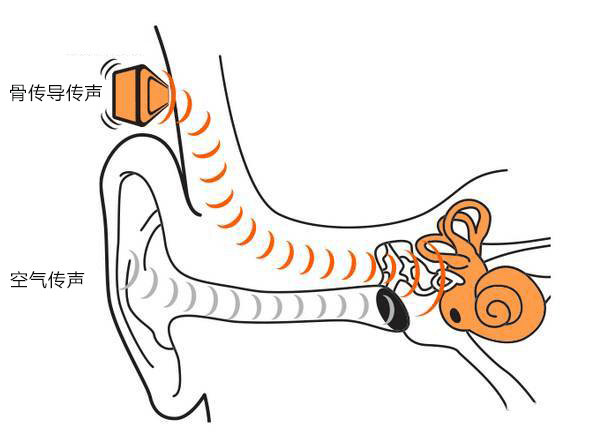不僅如此,骨傳導耳機因為特殊的發聲原理,傳聲時對耳膜和外耳的傷害