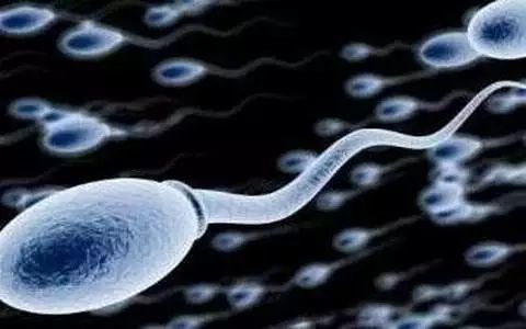 长期睡眠不足,会影响精子dna完整性,dna是重要的遗传因素,精子dna受损