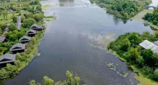 利辛西淝河國家溼地公園位於利辛縣城西部,以西淝河中游河段為主體