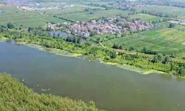 利辛西淝河國家溼地公園位於利辛縣城西部,以西淝河中游河段為主體