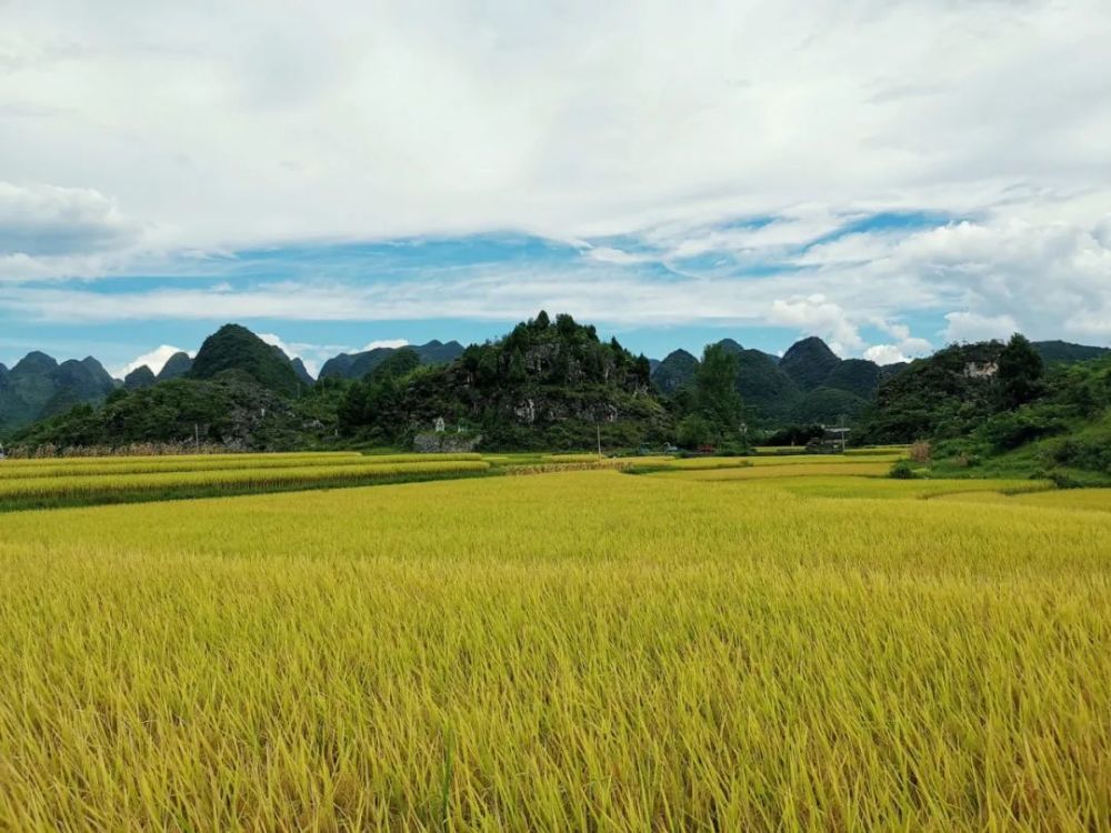 雨水退居二线,阳光周末回归～_腾讯新闻