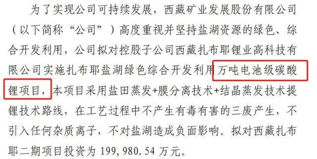 拟对控股子公司西藏扎布耶锂业高科技有限公司实施扎布耶盐湖绿色综合