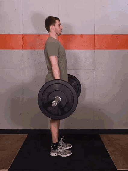 如何练出发达的蝴蝶翅膀?4个练背要点,一组练背动作学起来