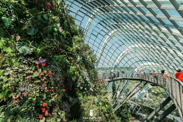新加坡有座网红植物园,室内瀑布世界最高,全年25度是避暑好去处