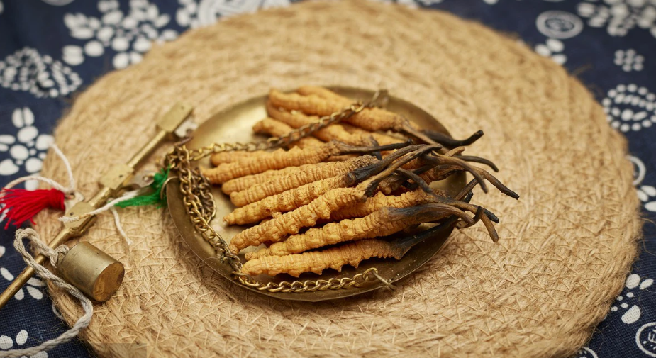 虫草灵芝对于癌症患者真的有用吗?如何正确科学的防癌抗癌?