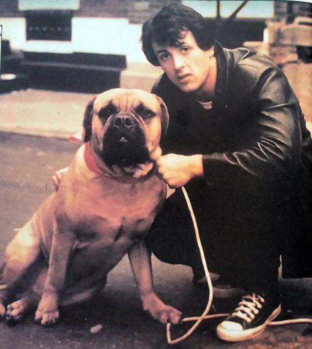 洛奇1080p已更新迅雷bt完整资源1080p高清完整观看1080p蓝光版