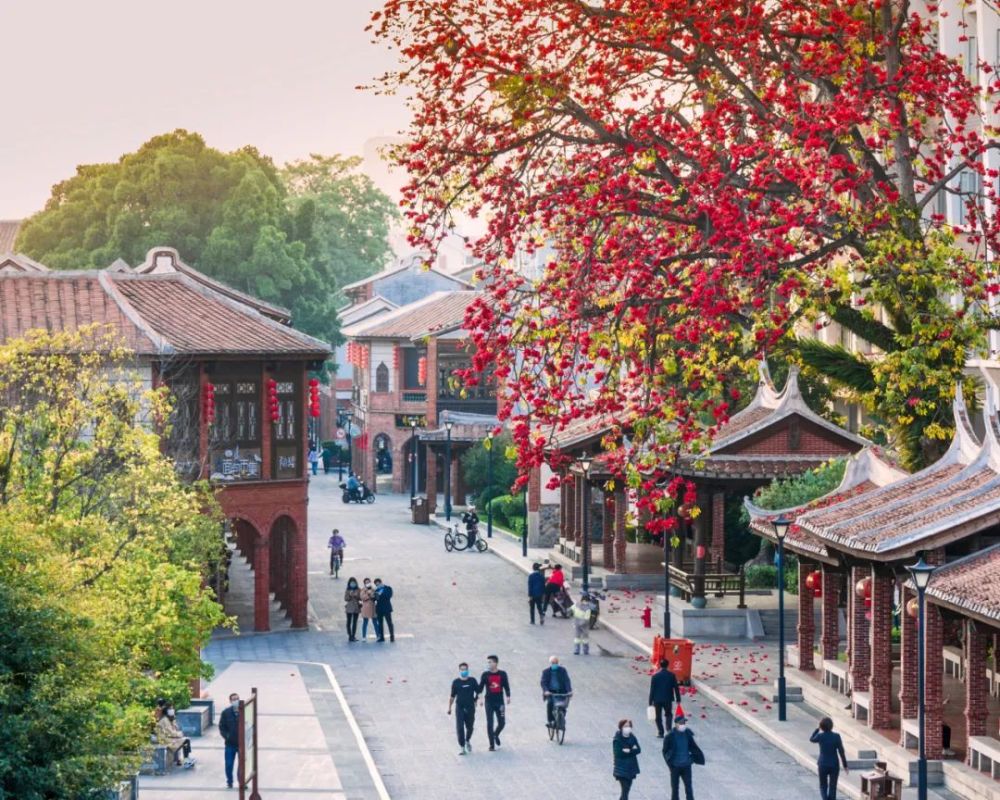 今晚10点漳州古城即将登上央视