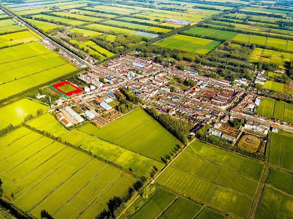 贯彻党代会精神三河镇建设三美三河跑出乡村振兴加速度