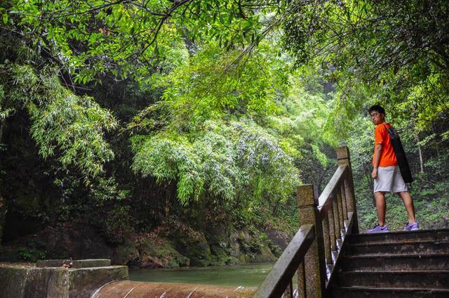 景色還不錯哦|南嶺國家森林公園|迎客松|雲門山風景區|瀑布|廣東|韶關