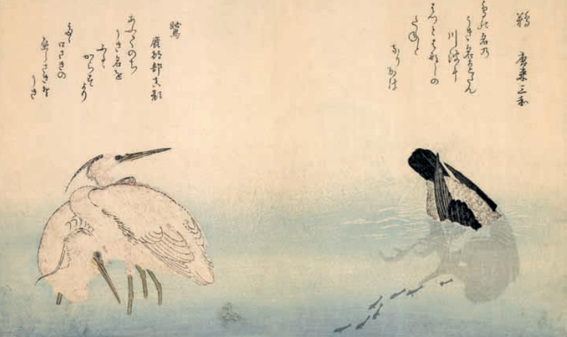 浮世花鸟绘 花鸟风月 人间雅事 腾讯新闻