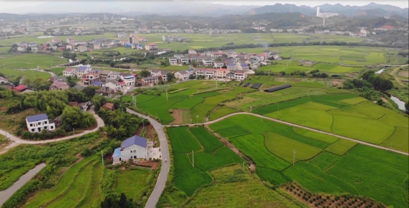 【乡村振兴在衡阳】石鼓灵官庙村:四季有瓜果 时时有客来