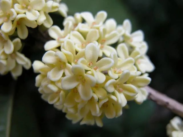 641