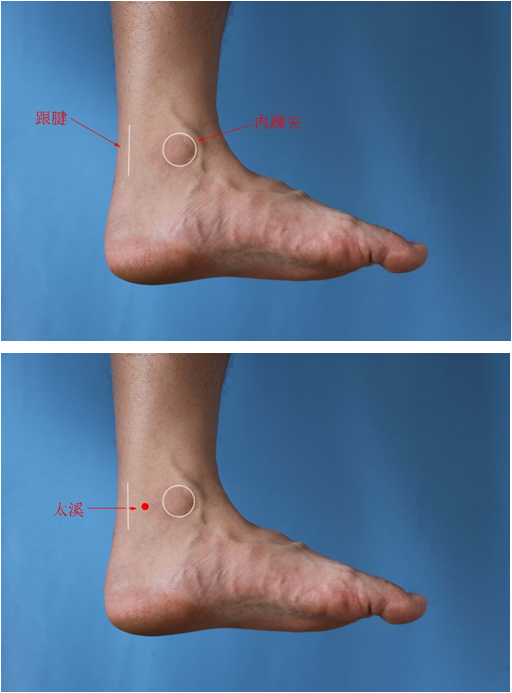 12.照海在踝区,内踝尖下方1寸,内踝下缘边际凹陷处.操作1.