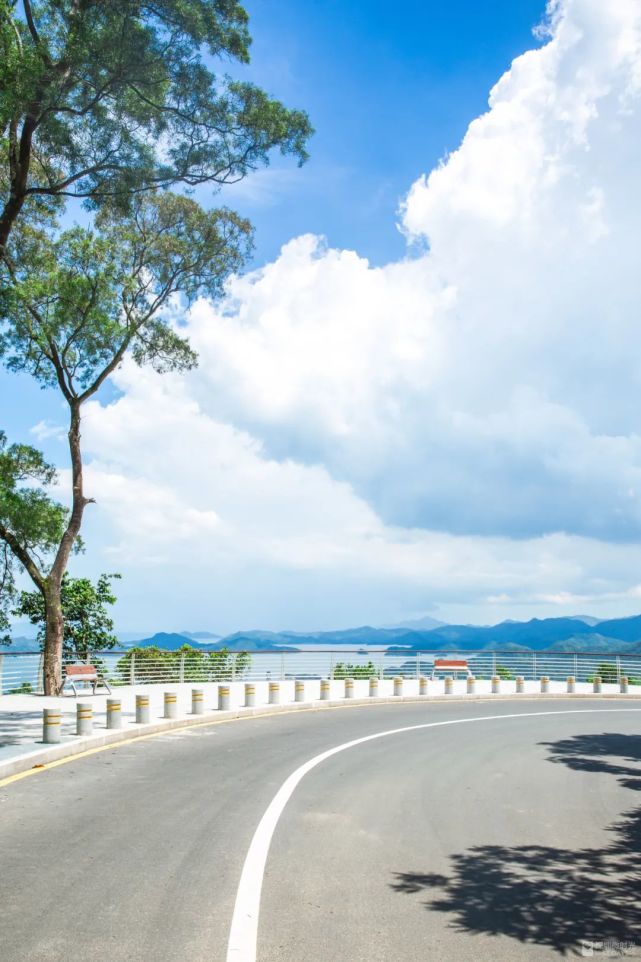 深圳最美绿道上新!s型海景公路 绿野仙踪秘境,少有人知!