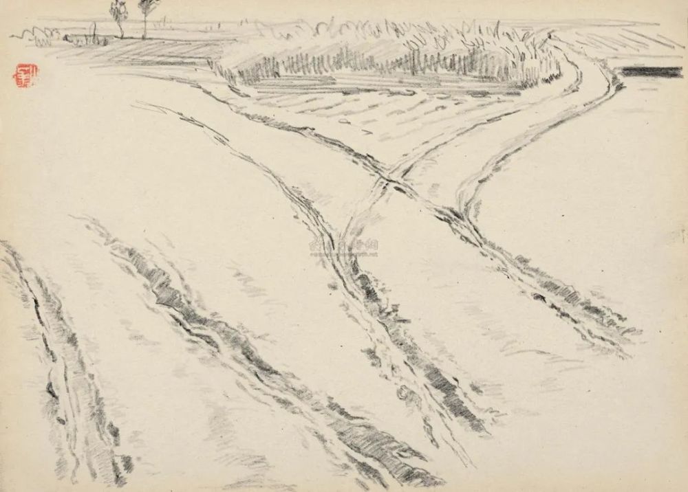 由于贫穷,盘锦的农村,所有的村路基本都是土路,老百姓戏称为"水泥路"