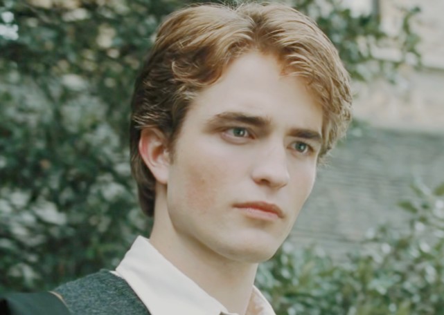 哈利61波特里的赫奇帕奇学生