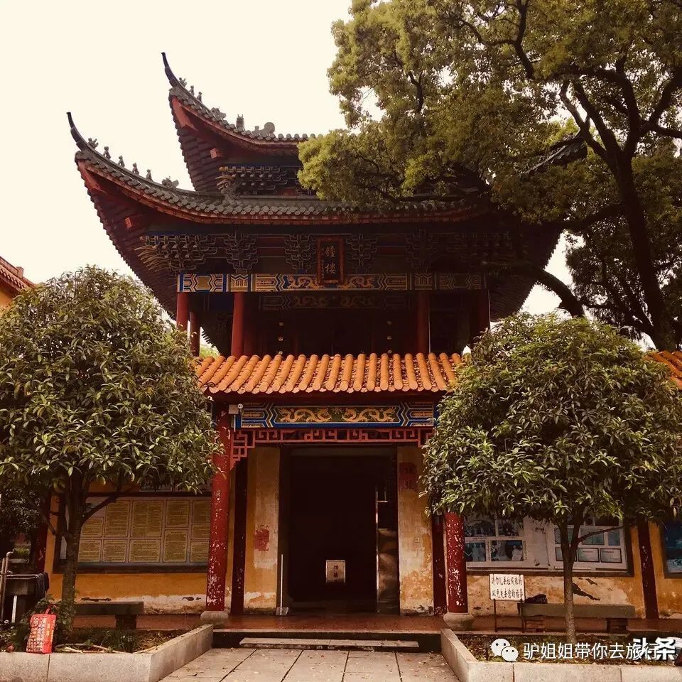 带上老妈走遍中国:龙游竹林禅寺