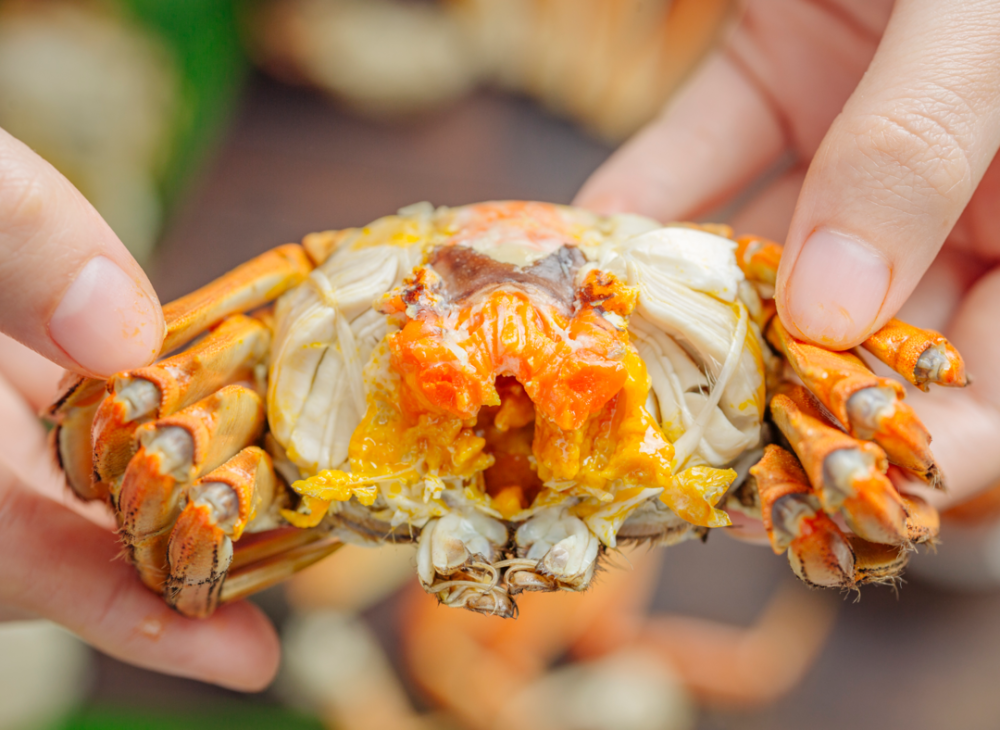 大闸蟹,秋天的仪式感_腾讯新闻