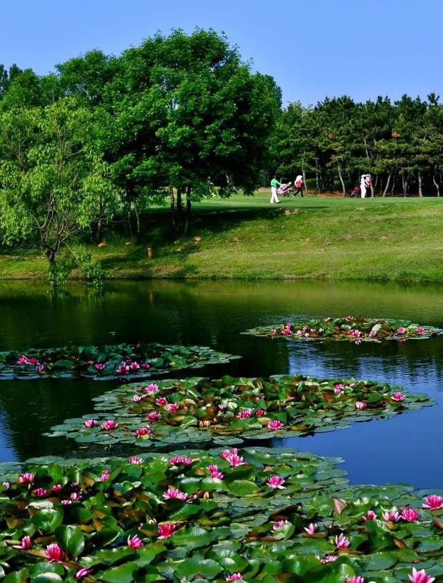 告别盛夏35张图片带你回顾烟台的夏天