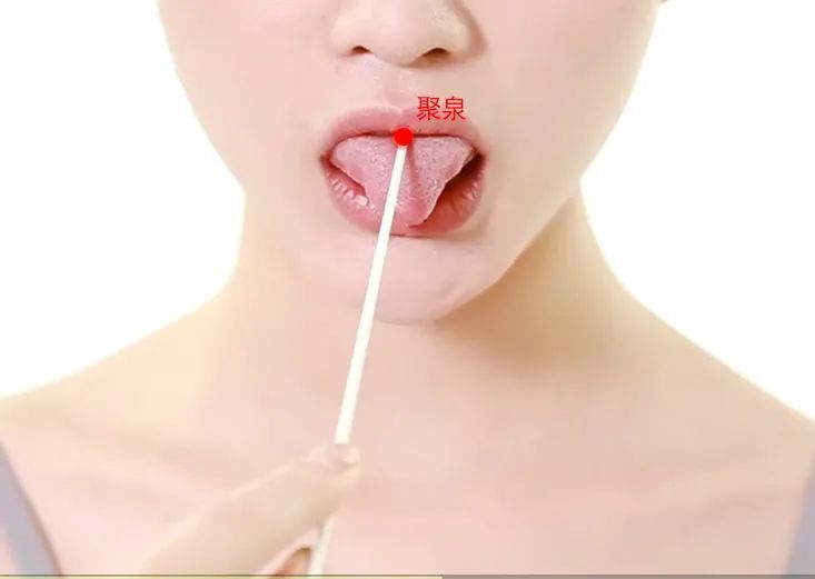 聚泉穴位于口腔内,当舌背正中缝的中点处.