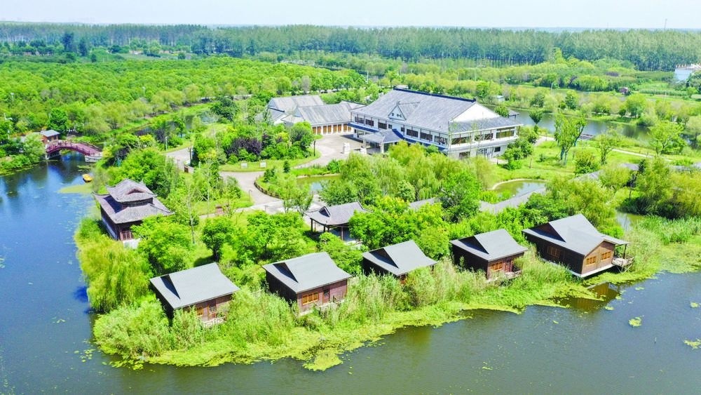 利辛西淝河国家湿地公园 秋景如画