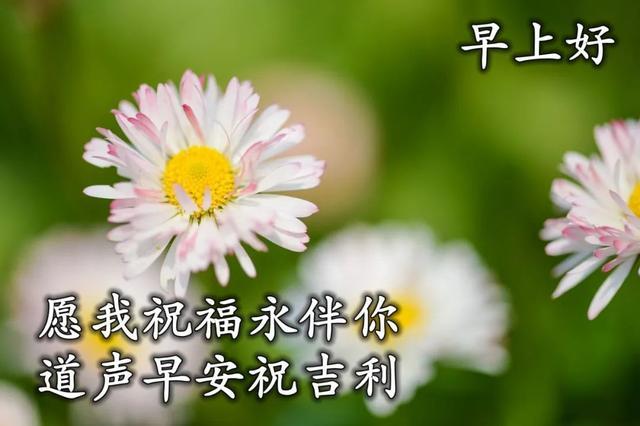 讓你好運常伴的早上好祝福圖片帶字,願你知足常樂