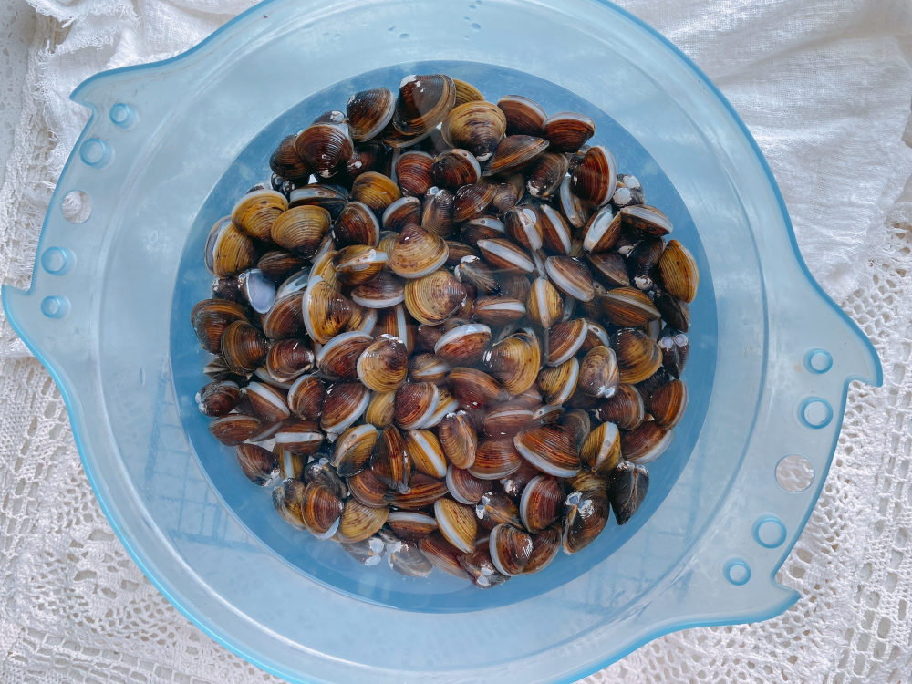 儿时的回忆香辣河蚬一个技巧河蚬没有沙子肉质鲜嫩不老不腥