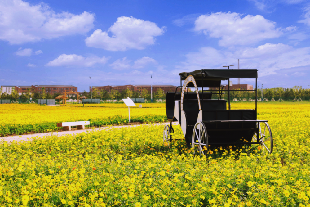 梅小野星光花海位于梅河口市,以"甜"野"萌"趣"为设计理念,集艺术性