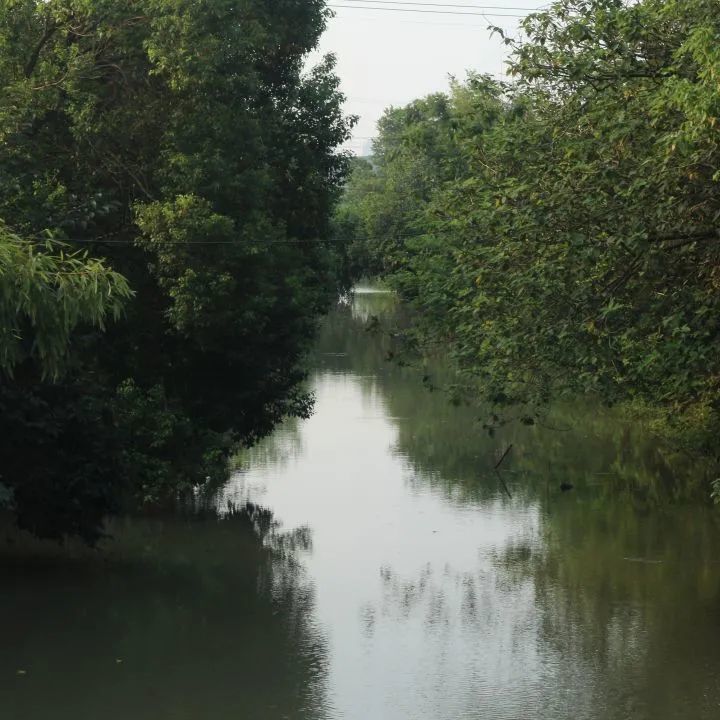 她写道,在长山河上除了长新桥,还有西章村桥,小里桥,冯家木桥三座桥