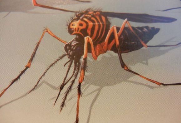 骷髅岛生物设定 昆虫篇