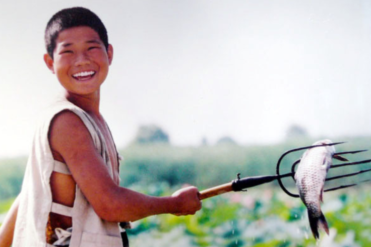 出道即巅峰白洋淀张嘎子是如何一步步淡出荧幕的