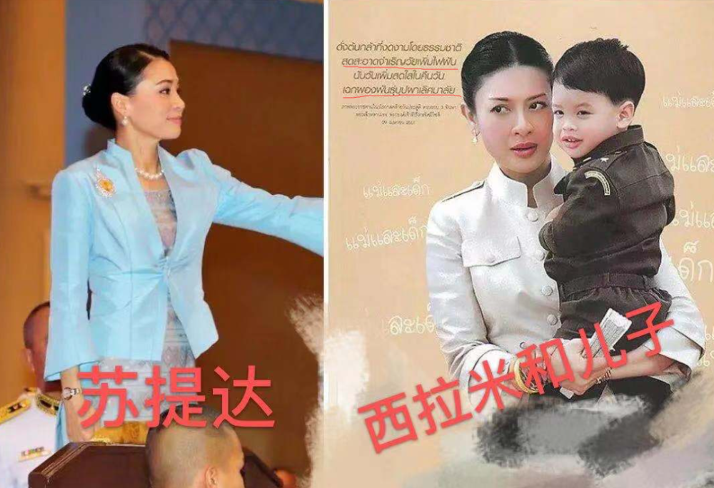 西拉米"一家团聚"已成定局,时隔七年重拾恩宠,提帮功迎接母妃