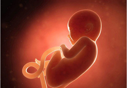 怀孕八个月宝宝发育成什么样了呢