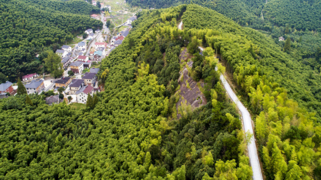 半山之境在于净,一方净土真竹境釜托寺,位于余杭区百丈镇与安吉县交界