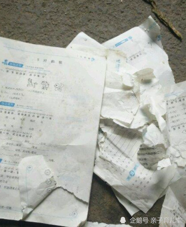 作业被家中的小狗撕坏,不但没有责怪小狗,反而露出了乐不可支的表情