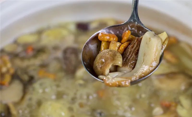 云南野生菌佼佼者松茸