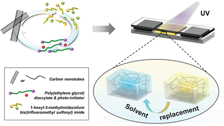 《am》碳纳米管-水凝胶复合材料促进神经元分化,同时保持网络活动的